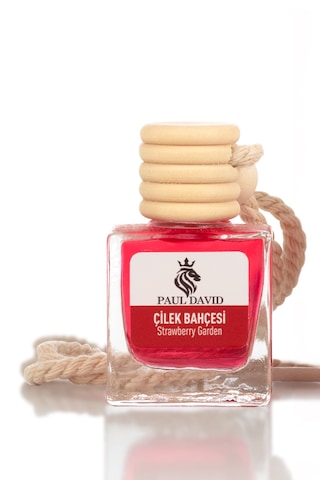 Paul David Dekoratif Araç Oto Kokusu Çilek Bahçesi 10ml