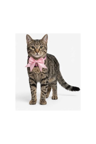 3'lü Set Zilli Ve Fiyonklu Kedi Tasması