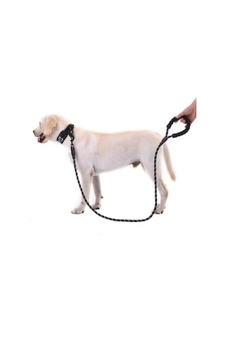 Süslüpati Reflektörlü Köpek Tasması Siyah 130 CM Siyah
