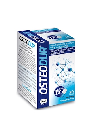 Osteodur Tip Ii Kollejen 500 Mg 30 Kapsul