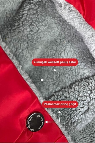 Köpek Mont - Red Design Su Geçirmez Köpek Yağmurluğu, Küçük Irk Köpek Kıyafeti