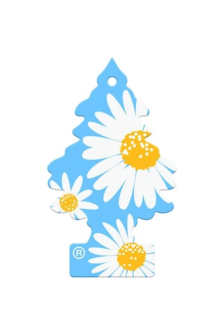 Little Trees Daisy Chain Papatya Aromalı Oto Kokusu 3 Adet