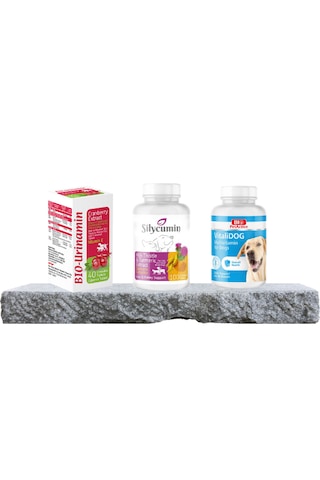 Purecanpati Köpek Destek Vitamin Seti Silycumin Vitalidog Bio Uri