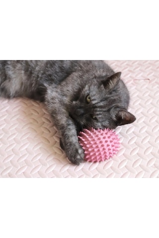 Sevimli Kirpi Kedi Kendini Tırmalayan Bakım Aleti