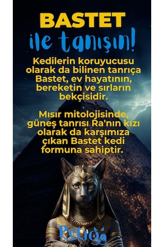 Petjoo 1.Bastet Mavi-Sarı Qr'lı Kedi Künyesi