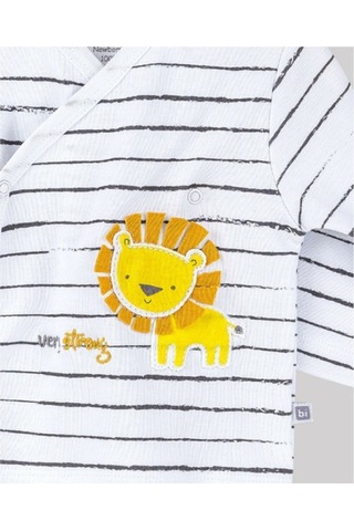 Hastane Çıkışı 10lu Baby Lion - Mavi 63160 Açık Bej