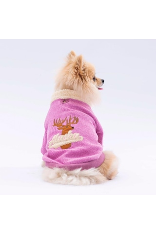 Pawstar Pembe Alaska Esnek, Küçük Irk Köpek Trikosu