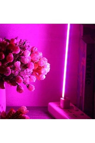 Tam Spektrum Led Bitki Lambası, 4.5 W Güç İle İç Mekan Bitkileri İçin Uygun