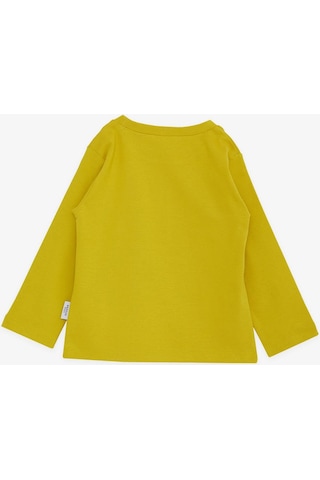 Breeze Erkek Çocuk Uzun Kollu Tişört Basic 1-4 Yaş, Fıstık Yeşili-fıstık Yeşili