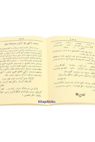 Zebani Farisi Farsça Dilbilgisi / Nedim Payalan