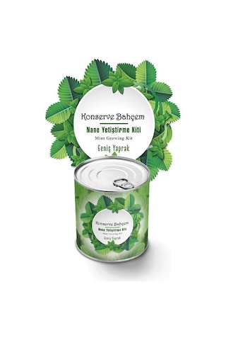 Buffer Konserve Bahçem Nane Yetiştirme Kiti Mavi