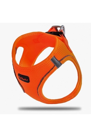Pettagart Airmesh Neon Turuncu Göğüs Tasması