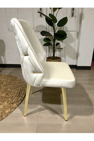 Msy Home 6 Kişilik Asil Gold Serisi Kelebek Siyah Mermer Desenli Yemek Masası Takımı Krem