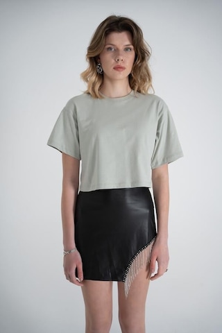 Holly Lolly Kısa Kol Bisiklet Yaka Basic Viole Tshirt Haki