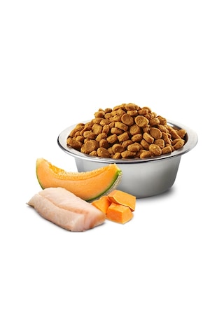 N&D Ocean Morina Balığı Bal Kabağı ve Kavunlu Yavru Köpek Maması 2500 G