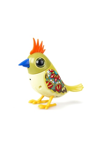 Digibirds Tekli Paket Seri 2 - Model 4