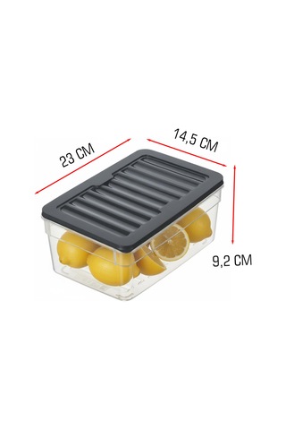 4'lü Derin Buzdolabı Ve Derin Dondurucu Düzenleyici Organizer Saklama Kabı Mikrodalga Difriz Kabı Antrasit Kapak
