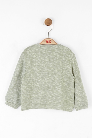 Glitter Hirka Yeşil