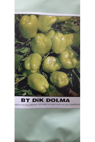 Kolukısa Tarım Dik Dolma Biber Tohumu