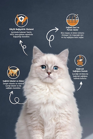 Reflex Sterılsed Salmon & Rıca Aduldt Cat Food 10 Kg Rfl-114 Diğer