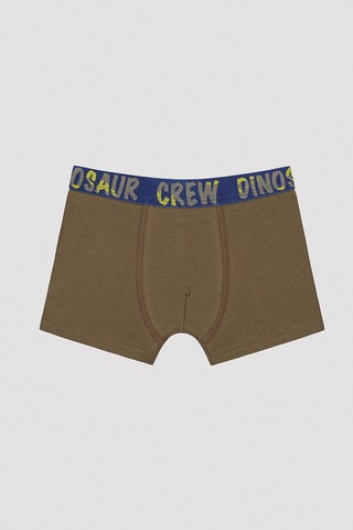Penti Erkek Çocuk Dinosur Crew Slogan Baskılı Boxer Çok Renkli
