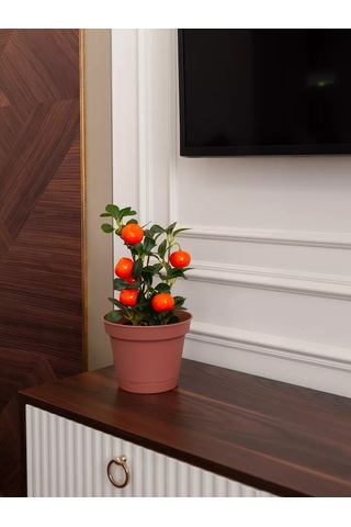 Grhome Otomatik Sulama Ve Altlık İle Saksı Plastik Çiçek Saksısı Seti 245365373