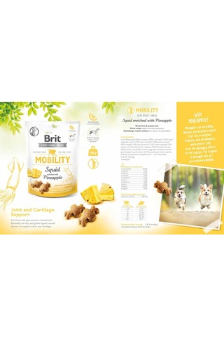 Care Functional Snack, Eklem Ve Kıkırdak Sağlığını Desteklemek İçin, Tahılsız, Kalamar Ve Ananaslı, Fonksiyonel Yetişkin Köpek Ödülü, 150 G