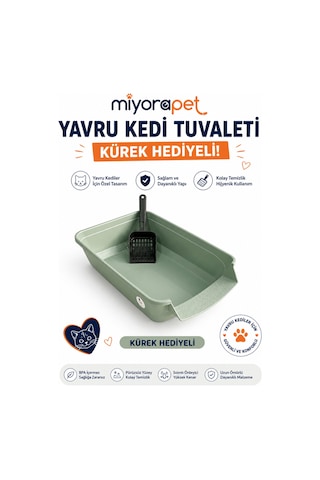 Yavru Kedi Tuvaleti