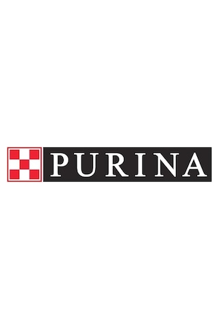 Sterilised Kısırılaştırılmış Kediler İçin Somonlu Kuru Kedi Maması 400 Gram