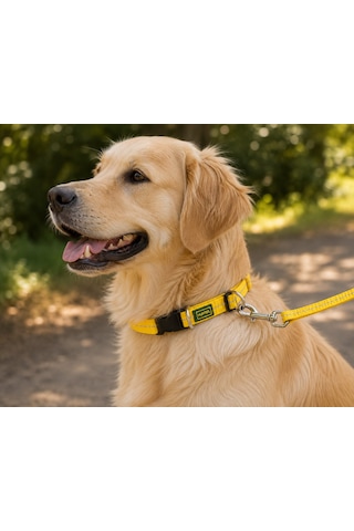 Hunter Tripoli Ayarlanabilir Reflektörlü Köpek Boyun Tasması - S Beden 25-35 Cm Sarı