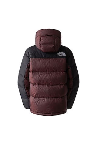 The North Face Erkek Hmlyn Down Parka Ceket Nf0a4qyxlos1 001