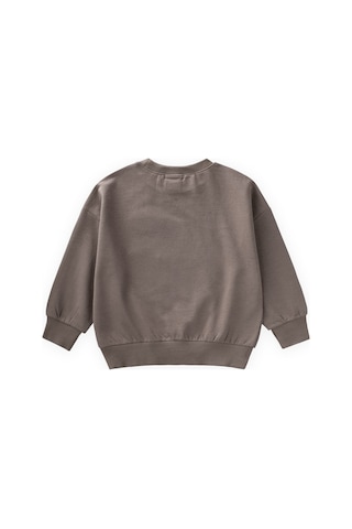 Cigit İnce Mevsimlik Sweatshirt 1-7 Yaş Vizon