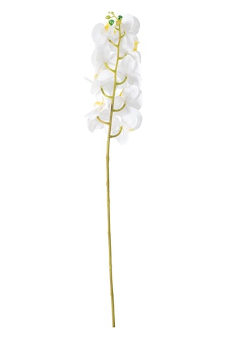 Orkide Dal Çiçek Beyaz 92 Cm Çok Renkli