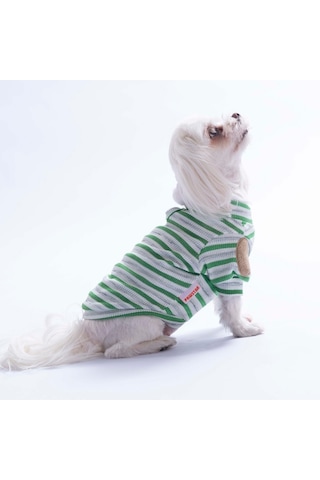 Yeşil Marseille Softline Çizgili Kedi Köpek Sweati Köpek Kıyafeti Kedi Kıyafeti