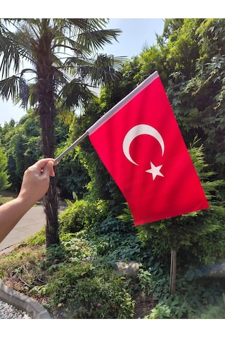 Vatan Sopalı Bayrak Bez 20x30 Bayrak 10'lu Diğer