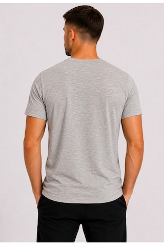 Axxel Erkek Toprak Melanj Pamuklu V Yaka Kısa Kollu T-shirt-d804