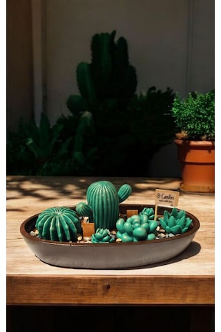 Kaktüs Mum Tabağı