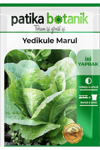 Patika Botanik 2000 Adet Yedikule Marul Tohumu
