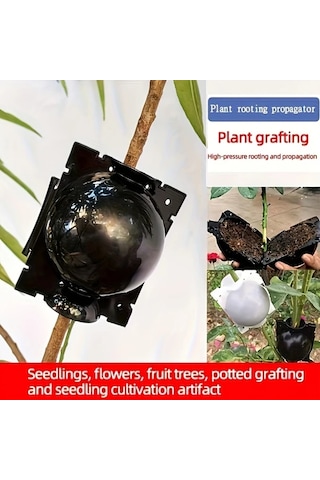 Willowhaven 9/10 Yeniden Kullanılabilir Bitki Kök Kutusu, 10 Orta Siyah + 20 Bağ Kelepçesi