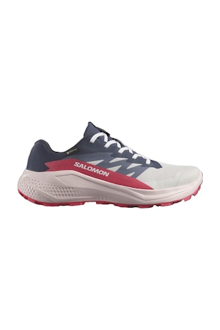 Salomon Alphaglıde Gore-tex Kadın Ayakkabısı L47802300 Çok Renkli
