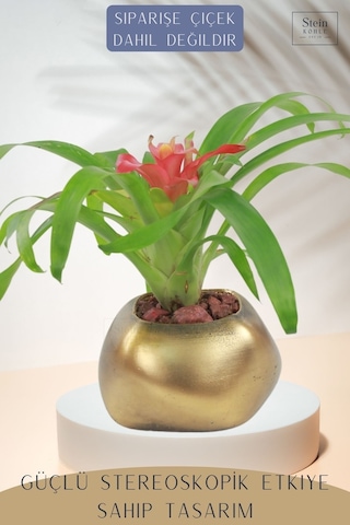 Çiçek Saksısı Dekoratif Kaktüs Saksı 1 Adet Spiral Oval Model - Altın Eskitme