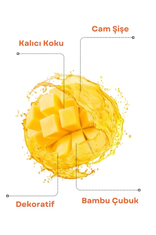 Axodine Mango Bambu Çubuklu Oda Kokusu 100 ML