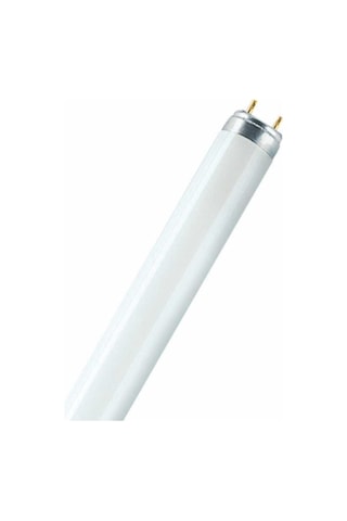 Osram 36 Watt 120 Cm Florasan Ampul 25 Adet T8 Beyaz Işık 12000K 1 Koli