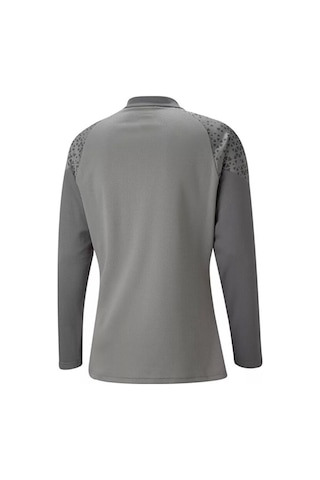 Puma Teamcup Training 1/4 Zip Top Erkek Futbol Uzun Kollu Antrenman Üstü 65798213 Gri 001