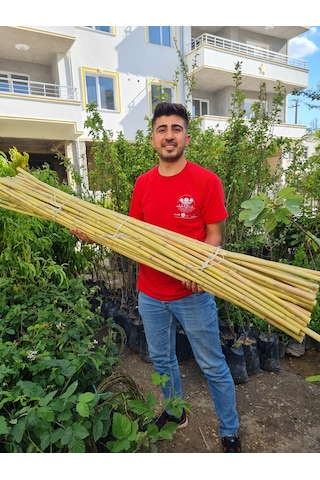 Bambu Fidan Bitki Destek Çubuğu 20 Adet 2 Metre Boy