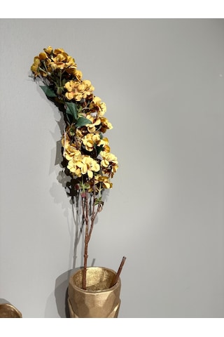 Evdema Vitale Kiraz Çiçegi Yellow Brown Kiraz Çiçek 20 81 Ak.jz0008