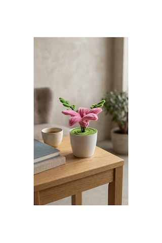 Şönil Pembe Lilyum Mini Saksı Minimal Saksı