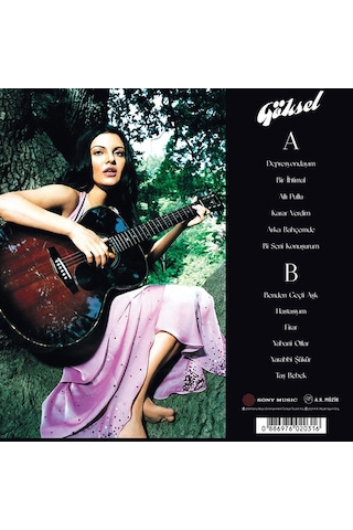 Göksel En İyileri Plak 2001 - 2007