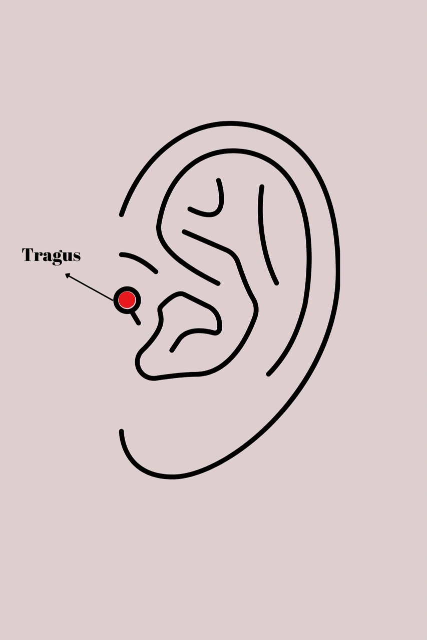 316l Çelik Gold Renk Zirkon Taşlı Çiçek Model Tragus Piercing Tj-pr1282 Çok Renkli