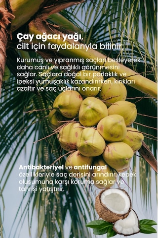 Hindistan Cevizi Yağı